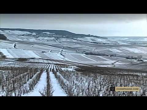 Le terroir champenois le climat