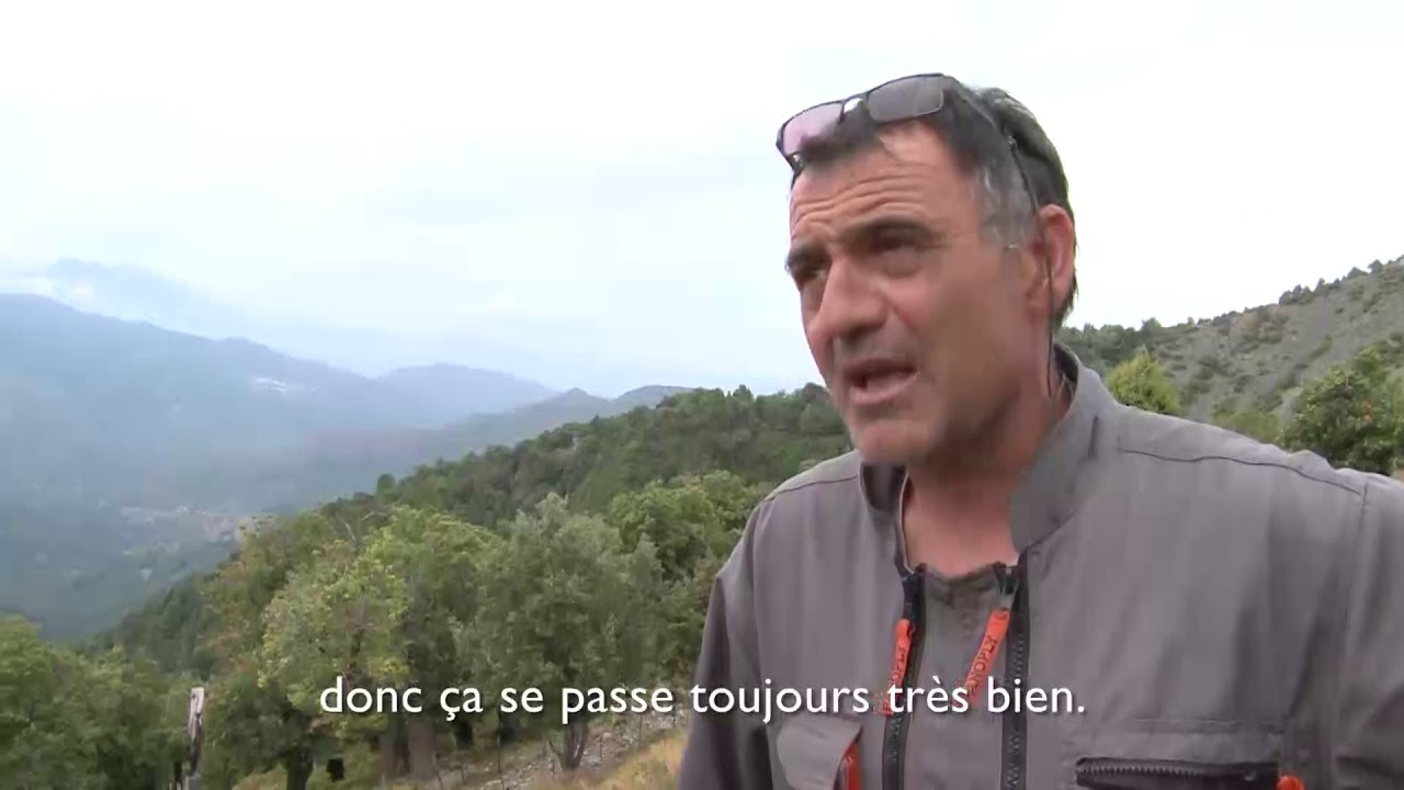 16. Le renouveau et l'avenir de la castanéiculture