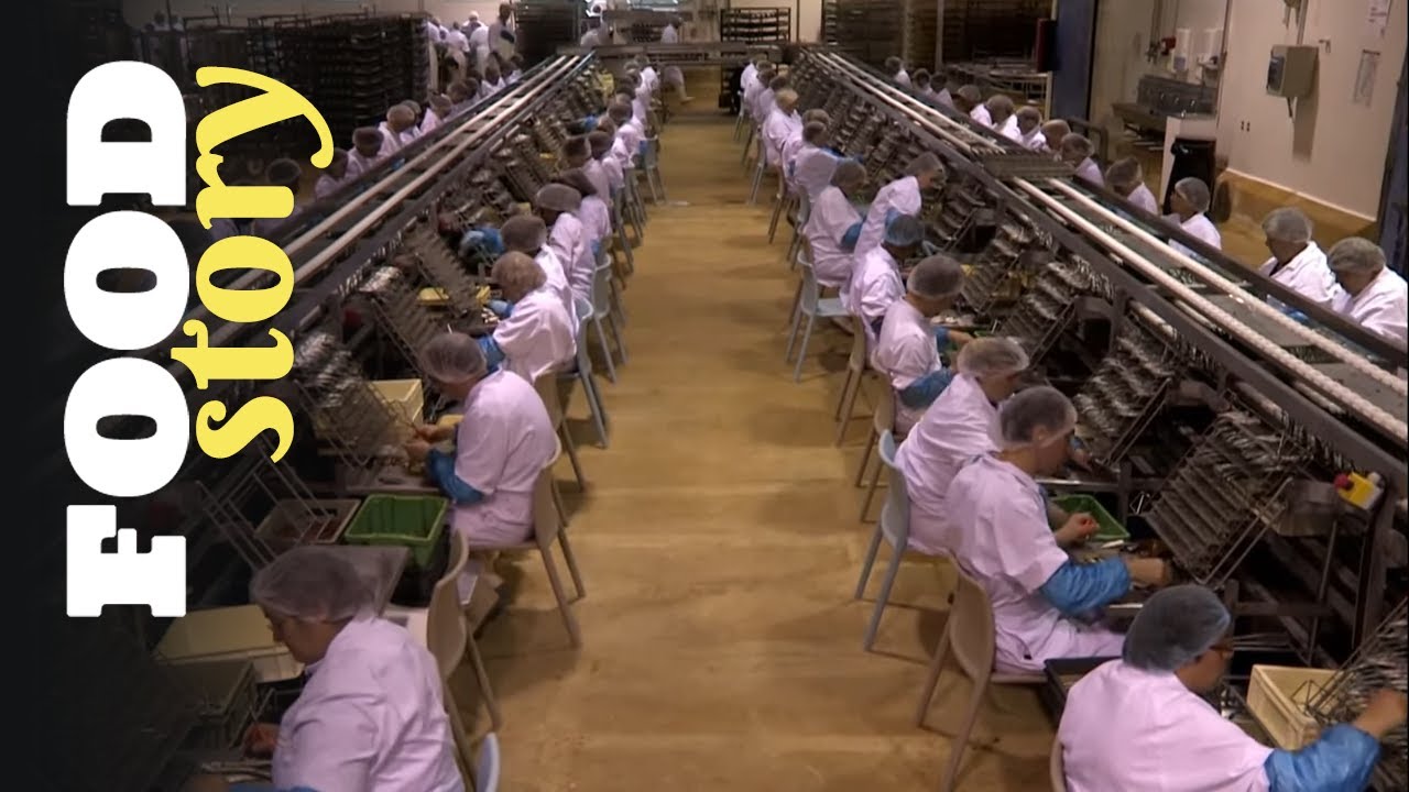 L'histoire de la conserverie bretonne la Belle-Iloise