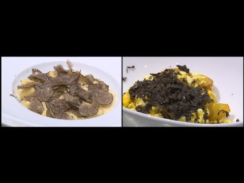 Terroir : la truffe, le diamant noir de la Provence