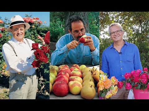 90 ANS DE CRÉATIONS DE FRUITS ET DE ROSES, LA BELLE SAGA DES PÉPINIÈRES ET ROSERAIES GEORGES DELBARD