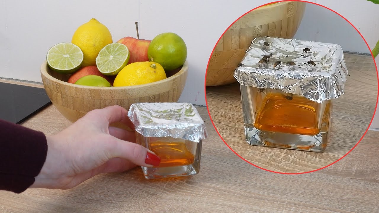 Le piège en papier aluminium qui attrape toutes les mouches à fruit