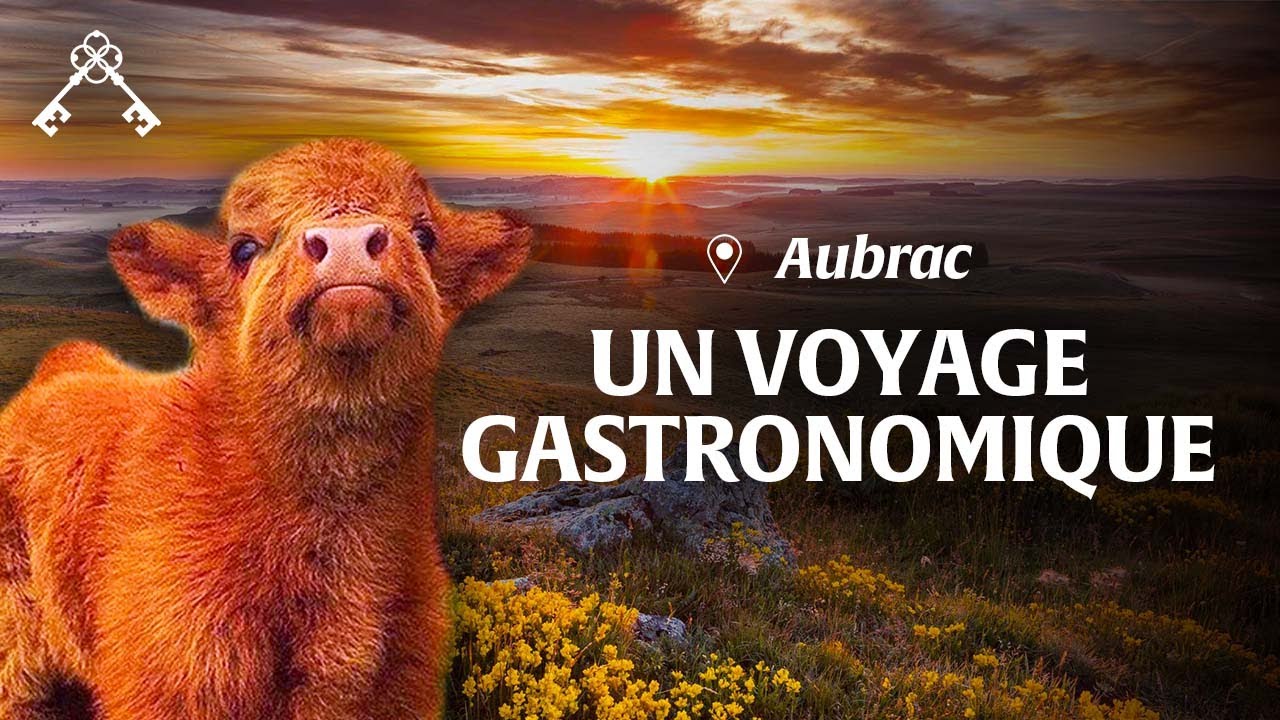 Des goûts et des saveurs | À la Rencontre des Artisans du Goût | Trésors du Patrimoine