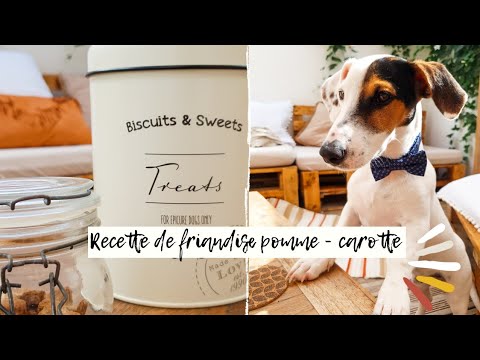 Je cuisine pour mon petit chien | Friandise à la carotte et à la pomme