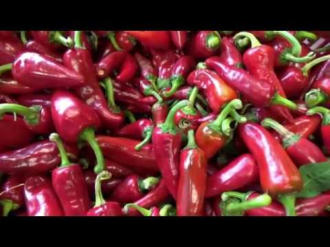 Spécialités Françaises : Un voyage culinaire