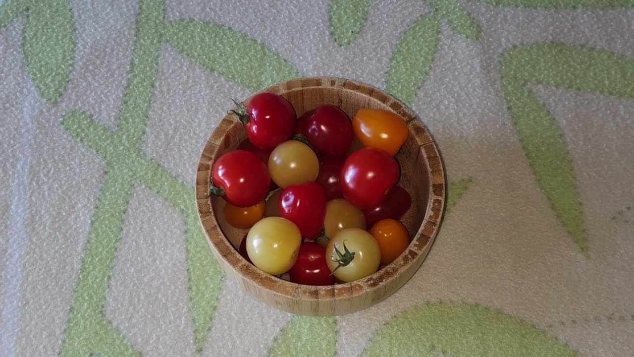 Courses chez le primeur 