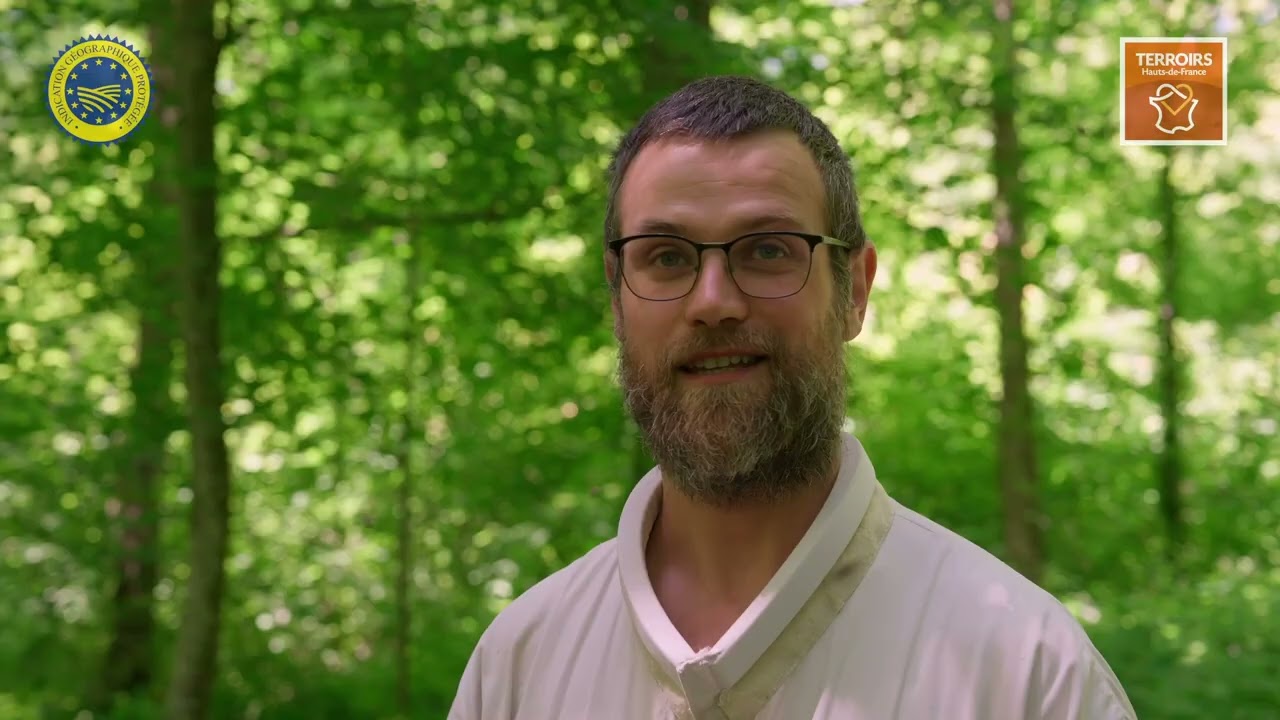 Présentation du miel de tilleul de Picardie IGP par Terroirs Hauts-de-France