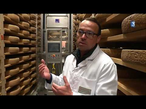 Du Comté dans l'Ain