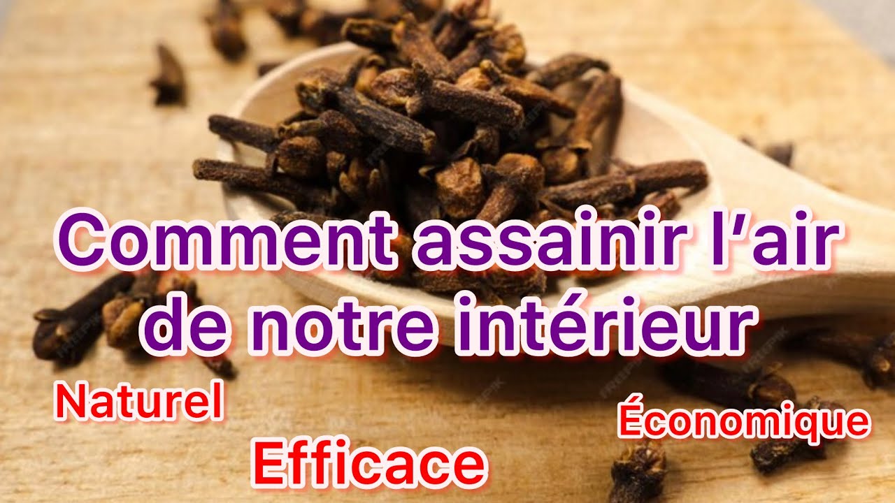 Comment neutraliser les mauvaises odeurs dans la maison